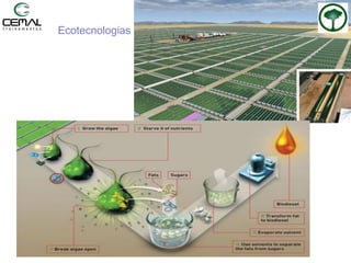 Ecotecnologias
 