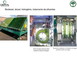 Biodiesel, álcool, hidrogênio, tratamento de efluentes
 
