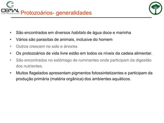 Protozoários- generalidades
• São encontrados em diversos habitats de água doce e marinha
• Vários são parasitas de animais, inclusive do homem
• Outros crescem no solo e árvores
• Os protozoários de vida livre estão em todos os níveis da cadeia alimentar.
• São encontrados no estômago de ruminantes onde participam da digestão
dos nutrientes.
• Muitos flagelados apresentam pigmentos fotossintetizantes e participam da
produção primária (matéria orgânica) dos ambientes aquáticos.
 