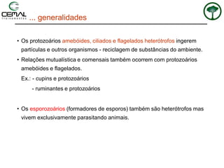 • Os protozoários amebóides, ciliados e flagelados heterótrofos ingerem
partículas e outros organismos - reciclagem de substâncias do ambiente.
• Relações mutualística e comensais também ocorrem com protozoários
amebóides e flagelados.
Ex.: - cupins e protozoários
- ruminantes e protozoários
• Os esporozoários (formadores de esporos) também são heterótrofos mas
vivem exclusivamente parasitando animais.
... generalidades
 