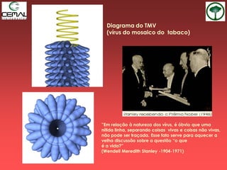Diagrama do TMV
(vírus do mosaico do tabaco)
”Em relação à natureza dos vírus, é óbvio que uma
nítida linha, separando coisas vivas e coisas não vivas,
não pode ser traçada. Esse fato serve para aquecer a
velha discussão sobre a questão “o que
é a vida?”
(Wendell Meredith Stanley -1904-1971)
 