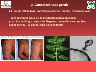 2. Características gerais
2.1. ampla distribuição: parasitando animais, plantas, microrganismos
- com diferentes graus de dependência para replicação:
p. ex. bacteriófagos: menos de 10 genes, dependência completa;
outros com 30-100 genes, mais independentes
 