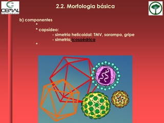 b) componentes
*
* capsídeo:
- simetria helicoidal: TMV, sarampo, gripe
- simetria icosaédrica
*
2.2. Morfologia básica
 