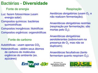 Bactérias - Diversidade
Respiração
Fonte de energia
Aeróbicas obrigatórias (usam O2 e
não realizam fermentação);
Anaeróbicas obrigatórias restritas
(respiração por fermentação; são
mortas pelo O2);
Anaeróbicas obrigatórias
aerotolerantes (sobrevivem na
presença de O2 mas não se
duplicam);
Anaeróbicas facultativas (tanto
fermentam quanto respiram O2);
Luz: fazem fotossíntese (usam
energia solar)
Compostos químicos: bactérias
quimiotróficas
Compostos inorgânicos: litotróficas
Compostos orgânicos: organotróficas
Fonte de carbono
Autotróficas : usam apenas CO2
Heterotróficas : obtêm seus átomos
de carbono de moléculas
orgânicas do ambiente (ex.
açúcares)
 