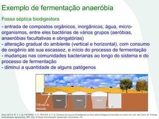 Exemplo de fermentação anaeróbia
Fossa séptica biodigestora
- entrada de compostos orgânicos, inorgânicos, água, micro-
organismos, entre eles bactérias de vários grupos (aeróbias,
anaeróbias facultativas e obrigatórias)
- alteração gradual do ambiente (vertical e horizontal), com consumo
de oxigênio até sua escassez, e início do processo de fermentação
- mudanças nas comunidades bacterianas ao longo do sistema e do
processo de fermentação
- diminui a quantidade de alguns patógenos
Fonte: SILVA, W. T. L. da; FAUSTINO, A. S.; NOVAES, A. P. de. Eficiência do processo de biodigestão em fossa séptica biodigestora inoculada com esterco de ovino. São Carlos, SP: Embrapa
Instrumentação Agropecuária, 2007. 20 p. (Embrapa Instrumentação Agropecuária. Documentos, 34).
 