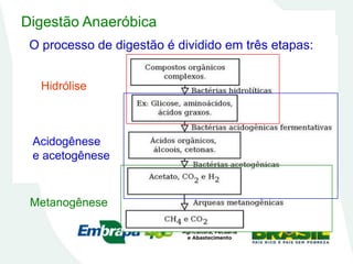 Digestão Anaeróbica
O processo de digestão é dividido em três etapas:
Hidrólise
Acidogênese
e acetogênese
Metanogênese
 