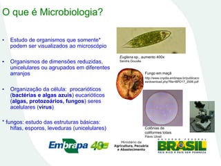 O que é Microbiologia?
http://www.cnpdia.embrapa.br/publicaco
es/download.php?file=BPD17_2006.pdf
Euglena sp., aumento 400x
Sandra Gouvêa
Colônias de
coliformes totais
Flávio Ubiali
Fungo em maçã
• Estudo de organismos que somente*
podem ser visualizados ao microscópio
• Organismos de dimensões reduzidas,
unicelulares ou agrupados em diferentes
arranjos
• Organização da célula: procarióticos
(bactérias e algas azuis) eucarióticos
(algas, protozoários, fungos) seres
acelulares (vírus)
* fungos: estudo das estruturas básicas:
hifas, esporos, leveduras (unicelulares)
 