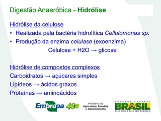 Digestão Anaeróbica - Hidrólise
Hidrólise da celulose
• Realizada pela bactéria hidrolítica Cellulomonas sp.
• Produção da enzima celulase (exoenzima)
Celulose + H2O → glicose
Hidrólise de compostos complexos
Carboidratos → açúcares simples
Lipídeos → ácidos graxos
Proteínas → aminoácidos
 