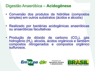Digestão Anaeróbica – Acidogênese
• Conversão dos produtos da hidrólise (compostos
simples) em outros substratos (ácidos e alcoóis)
• Realizado por bactérias acidogênicas anaeróbicas
ou anaeróbicas facultativas
• Produção de dióxido de carbono (CO2), gás
hidrogênio (H2), alcoóis, ácidos orgânicos e também
compostos nitrogenados e compostos orgânico
sulfurosos.
 