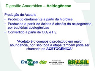 Digestão Anaeróbica – Acidogênese
Produção de Acetato
• Produzido diretamente a partir da hidrólise
• Produzido a partir de ácidos é alcoóis da acidogênese
por bactérias acetogênicas
• Convertido a partir de CO2 e H2.
*Acetato é o composto produzido em maior
abundância, por isso toda a etapa também pode ser
chamada de ACETOGÊNICA*
 