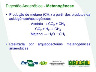 Digestão Anaeróbica - Metanogênese
• Produção de metano (CH4) a partir dos produtos da
acidogênese/acetogênese:
Acetato → CO2 + CH4
CO2 + H2 → CH4
Metanol → H2O + CH4
• Realizada por arqueobactérias metanogênicas
anaeróbicas
 