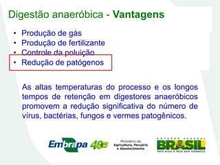 Digestão anaeróbica - Vantagens
• Produção de gás
• Produção de fertilizante
• Controle da poluição
• Redução de patógenos
As altas temperaturas do processo e os longos
tempos de retenção em digestores anaeróbicos
promovem a redução significativa do número de
vírus, bactérias, fungos e vermes patogênicos.
 
