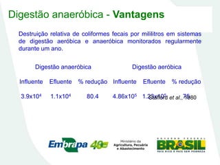 Digestão anaeróbica - Vantagens
Digestão anaeróbica Digestão aeróbica
Influente Efluente % redução Influente Efluente % redução
3.9x104 1.1x104 80.4 4.86x105 1.23x105 75
Stafford et al., 1980
Destruição relativa de coliformes fecais por mililitros em sistemas
de digestão aeróbica e anaeróbica monitorados regularmente
durante um ano.
 