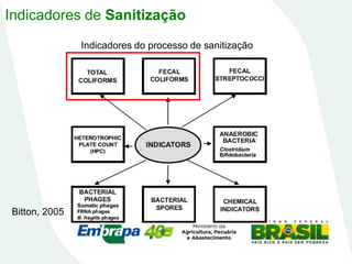 Indicadores do processo de sanitização
Bitton, 2005
Indicadores de Sanitização
 
