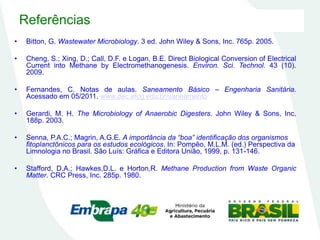 Referências
• Bitton, G. Wastewater Microbiology. 3 ed. John Wiley & Sons, Inc. 765p. 2005.
• Cheng, S.; Xing, D.; Call, D.F. e Logan, B.E. Direct Biological Conversion of Electrical
Current into Methane by Electromethanogenesis. Environ. Sci. Technol. 43 (10).
2009.
• Fernandes, C. Notas de aulas. Saneamento Básico – Engenharia Sanitária.
Acessado em 05/2011. www.dec.efcg.edu.br/saneamento
• Gerardi, M. H. The Microbiology of Anaerobic Digesters. John Wiley & Sons, Inc.
188p. 2003.
• Senna, P.A.C.; Magrin, A.G.E. A importância da “boa” identificação dos organismos
fitoplanctônicos para os estudos ecológicos. In: Pompêo, M.L.M. (ed.) Perspectiva da
Limnologia no Brasil. São Luís: Gráfica e Editora União, 1999. p. 131-146.
• Stafford, D.A.; Hawkes,D.L. e Horton,R. Methane Production from Waste Organic
Matter. CRC Press, Inc. 285p. 1980.
 