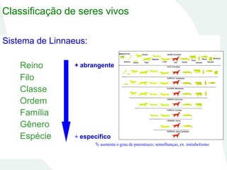 Sistema de Linnaeus:
Reino
Filo
Classe
Ordem
Família
Gênero
Espécie
Classificação de seres vivos
+ abrangente
+ específico
 aumenta o grau de parentesco; semelhanças, ex. metabolismo
 
