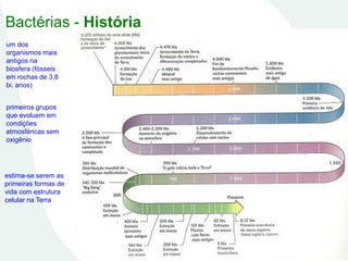 Bactérias - História
estima-se serem as
primeiras formas de
vida com estrutura
celular na Terra
um dos
organismos mais
antigos na
biosfera (fósseis
em rochas de 3,8
bi. anos)
primeiros grupos
que evoluem em
condições
atmosféricas sem
oxigênio
 