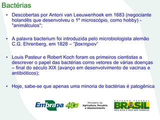 Bactérias
• Descobertas por Antoni van Leeuwenhoek em 1683 (negociante
holandês que desenvolveu o 1º microscópio, como hobby) -
"animálculos";
• A palavra bacterium foi introduzida pelo microbiologista alemão
C.G. Ehrenberg, em 1828 – “βακτηριον”
• Louis Pasteur e Robert Koch foram os primeiros cientistas a
descrever o papel das bactérias como vetores de várias doenças
– final do século XIX (avanço em desenvolvimento de vacinas e
antibióticos);
• Hoje, sabe-se que apenas uma minoria de bactérias é patogênica
 