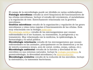El campo de la microbiología puede ser dividido en varias subdisciplinas:
Fisiología microbiana: estudio (a nivel bioquímico) del funcionamiento de
las células microbianas. Incluye el estudio del crecimiento, el metabolismo
y la regulación de éste. Estrechamente relacionada con la genética
microbiana.
Genética microbiana: estudio de la organización y regulación de los genes
microbianos y cómo éstos regulan el funcionamiento de las células. Está
muy relacionada con la biología molecular.
Microbiología médica: estudio de los microorganismos que causan
enfermedades en el ser humano, su transmisión, la patogénesis y su
tratamiento. Muy relacionada con la medicina, la epidemiología, la
farmacología y la salud pública.
Microbiología veterinaria: estudio de los microorganismos que causan
enfermedades en los animales, principalmente en los domésticos y en los
de interés económico (reses, aves de corral, cerdos, ovejas, cabras, etc.).
Microbiología ambiental: estudio de la función y diversidad de los
microbios en sus entornos naturales. Incluye la ecología microbiana, la
geomicrobiología, la diversidad microbiana y la biorremediación.
Microbiología evolutiva: estudio de la evolución de los microbios. Incluye
la sistemática y la taxonomía bacterianas.
 