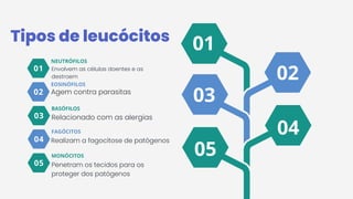 01
01
02
03
05
04
Tipos de leucócitos
EOSINÓFILOS
Agem contra parasitas
02
NEUTRÓFILOS
03
FAGÓCITOS
04
BASÓFILOS
05
MONÓCITOS
Envolvem as células doentes e as
destroem
Relacionado com as alergias
Realizam a fagocitose de patógenos
Penetram os tecidos para os
proteger dos patógenos
 