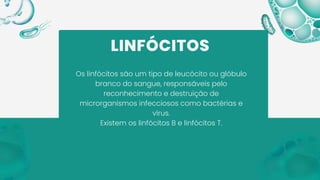 LINFÓCITOS
Os linfócitos são um tipo de leucócito ou glóbulo
branco do sangue, responsáveis pelo
reconhecimento e destruição de
microrganismos infecciosos como bactérias e
vírus.
Existem os linfócitos B e linfócitos T.
 