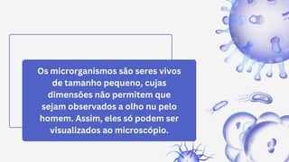 Os microrganismos são seres vivos
de tamanho pequeno, cujas
dimensões não permitem que
sejam observados a olho nu pelo
homem. Assim, eles só podem ser
visualizados ao microscópio.
 