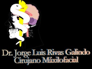 Microbiología bucal, Dr. Jorge Luis Rivas Galindo
 