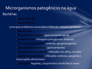 Bactérias
•Salmonella spp.
•Vibrio cholerae
• principais problemas associados à falta de cuidados sanitários
•Shigella spp.
•Yersinia enterocolitica: gastroenterite aguda
•Escherichia coli: linhagens patogênicas: enterites
•Clostridium perfringens: enterite, gangrena gasosa
•Vibrio parahaemolyticus: gastroenterites
•Pseudomonas aeruginosa: infecções nos olhos, ouvidos
•Staphylococcus aureus: infecções cutâneas, garganta e
intoxicações alimentares
•Leptospira: hepatite, conjuntivite e insuficiência renal
Microrganismos patogênicos na água
 
