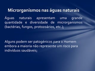 Águas naturais apresentam uma grande
quantidade e diversidade de microrganismos
(bactérias, fungos, protozoários, etc.);
Alguns podem ser patogénicos para o Homem
embora a maioria não represente um risco para
indivíduos saudáveis;
Microrganismos nas águas naturais
 