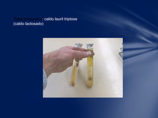 Teste presuntivo: caldo lauril triptose
(caldo lactosado)
 