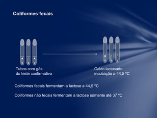Tubos com gás Caldo lactosado
do teste confirmativo incubação a 44,5 ºC
Coliformes fecais
Coliformes fecais fermentam a lactose a 44,5 ºC
Coliformes não fecais fermentam a lactose somente até 37 ºC
 