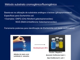 Método substrato cromogênico/fluorogênico
Baseia-se na utilização de substratos análogos à lactose (glicopiranosídeos)
Específicos para Escherichia coli.
• Exemplos: ONPG (Orto Nitrofenil galactopiranosídeo)
MUG (Metil-Umbeliferone Galactopiranosídeo)
Ferramenta poderosa para identificação de Escherichia coli (teste confirmativo)
 