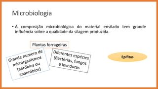 Microbiologia
• A composição microbiológica do material ensilado tem grande
influência sobre a qualidade da silagem produzida.
Plantas forrageiras
Epífitas
 