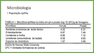 Microbiologia
• População epífita
Pode varia de 10² 107 microrganismos/grama de MS
Maioria aeróbia estrita
Varia de acordo com a espécie forrageira
Estágio de maturação da planta
Condições ambientais de T°, UR, radiação solar
Corte, secagem no campo e picagem
Tende a aumentar
o nº da microflora
 