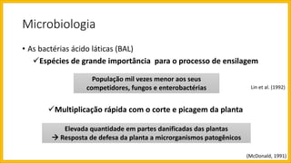 Microbiologia
• As bactérias ácido láticas (BAL)
Espécies de grande importância para o processo de ensilagem
Multiplicação rápida com o corte e picagem da planta
Lin et al. (1992)
População mil vezes menor aos seus
competidores, fungos e enterobactérias
Elevada quantidade em partes danificadas das plantas
 Resposta de defesa da planta a microrganismos patogênicos
(McDonald, 1991)
 