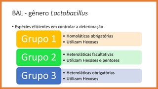 BAL - gênero Lactobacillus
• Espécies eficientes em controlar a deterioração
• Homoláticas obrigatórias
• Utilizam HexosesGrupo 1
• Heteroláticas facultativas
• Utilizam Hexoses e pentosesGrupo 2
• Heteroláticas obrigatórias
• Utilizam HexosesGrupo 3
 