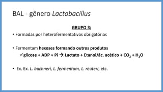 BAL - gênero Lactobacillus
GRUPO 3:
• Formadas por heterofermentativas obrigatórias
• Fermentam hexoses formando outros produtos
glicose + ADP + Pi  Lactato + Etanol/ác. acético + CO2 + H2O
• Ex. Ex. L. buchneri, L. fermentum, L. reuteri, etc.
 