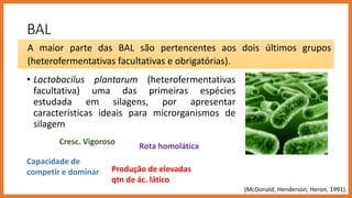 BAL
• Lactobacilus plantarum (heterofermentativas
facultativa) uma das primeiras espécies
estudada em silagens, por apresentar
características ideais para microrganismos de
silagem
A maior parte das BAL são pertencentes aos dois últimos grupos
(heterofermentativas facultativas e obrigatórias).
Cresc. Vigoroso
Capacidade de
competir e dominar
Rota homolática
Produção de elevadas
qtn de ác. lático
(McDonald; Henderson; Heron, 1991).
 