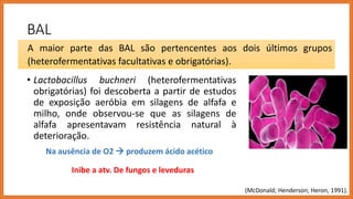 BAL
• Lactobacillus buchneri (heterofermentativas
obrigatórias) foi descoberta a partir de estudos
de exposição aeróbia em silagens de alfafa e
milho, onde observou-se que as silagens de
alfafa apresentavam resistência natural à
deterioração.
A maior parte das BAL são pertencentes aos dois últimos grupos
(heterofermentativas facultativas e obrigatórias).
Na ausência de O2  produzem ácido acético
Inibe a atv. De fungos e leveduras
(McDonald; Henderson; Heron, 1991).
 
