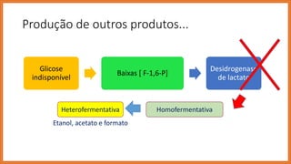 Produção de outros produtos...
Glicose
indisponível
Baixas [ F-1,6-P]
Desidrogenase
de lactato
HomofermentativaHeterofermentativa
Etanol, acetato e formato
 