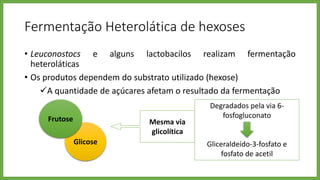 Fermentação Heterolática de hexoses
• Leuconostocs e alguns lactobacilos realizam fermentação
heteroláticas
• Os produtos dependem do substrato utilizado (hexose)
A quantidade de açúcares afetam o resultado da fermentação
Glicose
Frutose Mesma via
glicolítica
Degradados pela via 6-
fosfogluconato
Gliceraldeído-3-fosfato e
fosfato de acetil
 