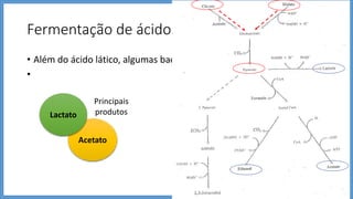 Fermentação de ácidos orgânicos
• Além do ácido lático, algumas bactérias fermentam ácidos orgânicos
•
Acetato
Lactato
Principais
produtos
E. Faecalis 
Fermentam Malato
E. faecium 
Fermentam Citrato
 