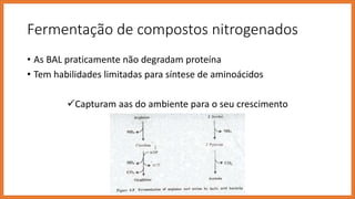 Fermentação de compostos nitrogenados
• As BAL praticamente não degradam proteína
• Tem habilidades limitadas para síntese de aminoácidos
Capturam aas do ambiente para o seu crescimento
 