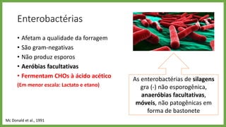 Enterobactérias
• Afetam a qualidade da forragem
• São gram-negativas
• Não produz esporos
• Aeróbias facultativas
• Fermentam CHOs à ácido acético
(Em menor escala: Lactato e etano)
Mc Donald et al., 1991
As enterobactérias de silagens
gra (-) não esporogênica,
anaeróbias facultativas,
móveis, não patogênicas em
forma de bastonete
 