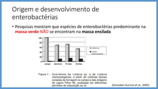 Origem e desenvolvimento de
enterobactérias
• Pesquisas mostram que espécies de enterobactérias predominante na
massa verde NÃO se encontram na massa ensilada
(Schocken-Iturrino et al., 2005)
 