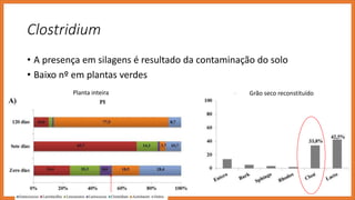Clostridium
• A presença em silagens é resultado da contaminação do solo
• Baixo nº em plantas verdes
Planta inteira Grão seco reconstituído
 