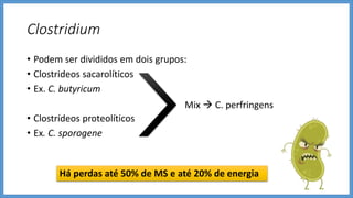 Clostridium
• Podem ser divididos em dois grupos:
• Clostrideos sacarolíticos
• Ex. C. butyricum
• Clostrídeos proteolíticos
• Ex. C. sporogene
Mix  C. perfringens
Há perdas até 50% de MS e até 20% de energia
 