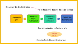 Aumento do
pH
Reduz o
valor
nutricional
Quebra de
ácidos
aminados
Perdas por
fermentação
Seus esporos podem contaminar o leite
Crescimento de clostridios
é indesejável destrói de ácido láctico
Emmental, Gouda, Edam e C. tyrobutyricum
Queijos
duros
 