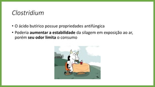 Clostridium
• O ácido butírico possue propriedades antifúngica
• Poderia aumentar a estabilidade da silagem em exposição ao ar,
porém seu odor limita o consumo
 
