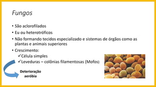 Fungos
• São aclorofilados
• Eu ou heterotróficos
• Não formando tecidos especializado e sistemas de órgãos como as
plantas e animais superiores
• Crescimento:
Célula simples
Leveduras – colônias filamentosas (Mofos)
Deterioração
aeróbia
 